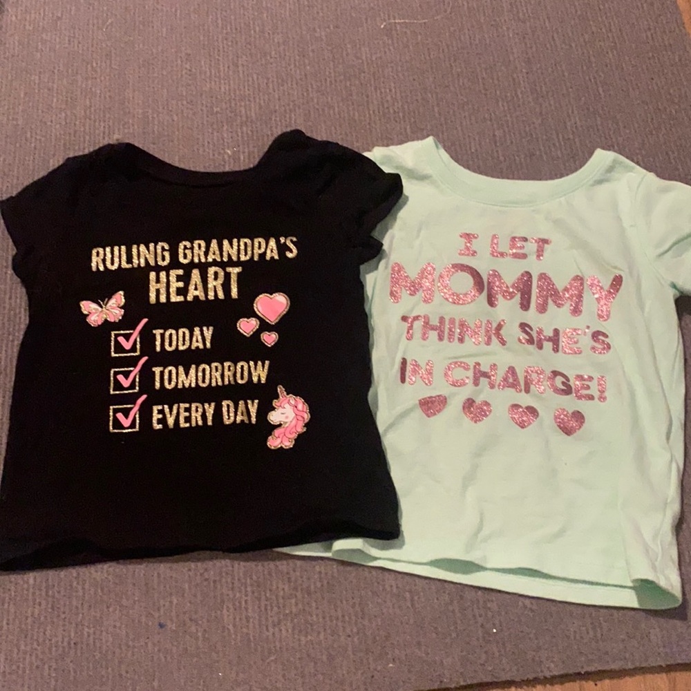 The Children’s place. 2T. 2 shirts.